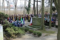 Urząd Miejski w Wolsztynie
