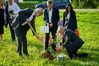 Urząd Miejski w Wolsztynie