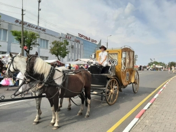Urząd Miejski w Wolsztynie